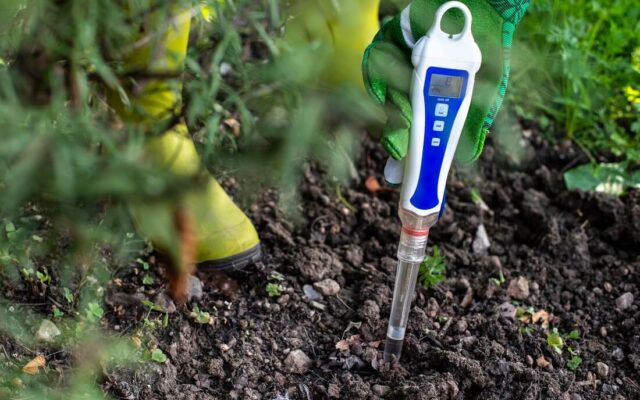 Jak sprawdzić pH gleby w ogrodzie i dlaczego jest to ważne?
